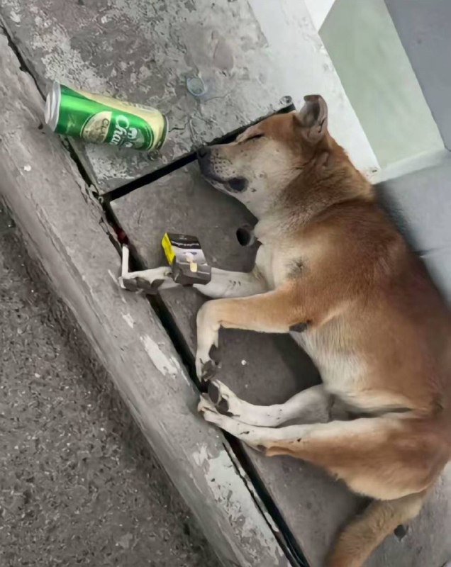 落魄了