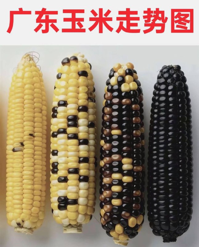 形象