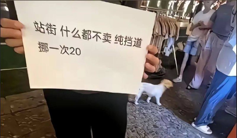新工作