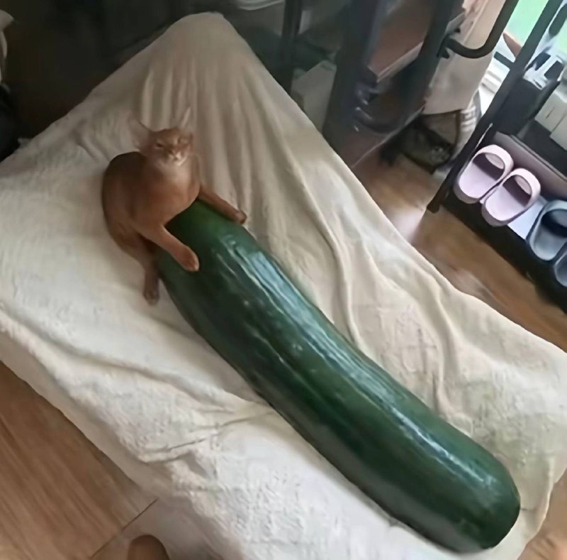 我刚睡醒的样子