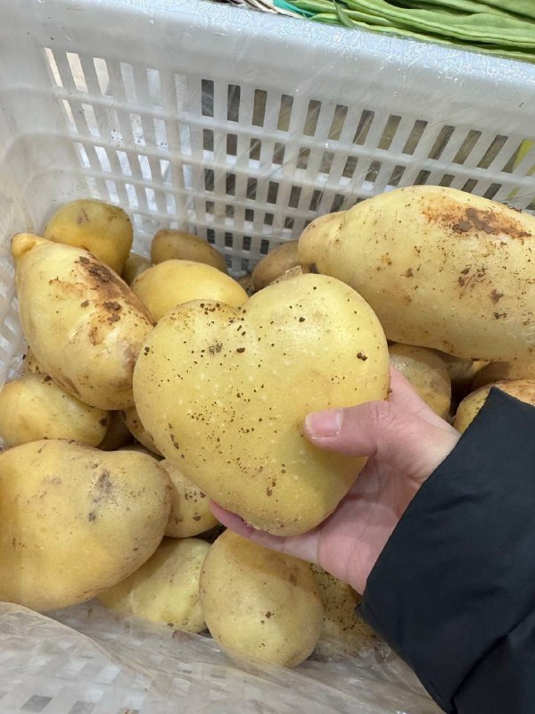 浪漫土豆