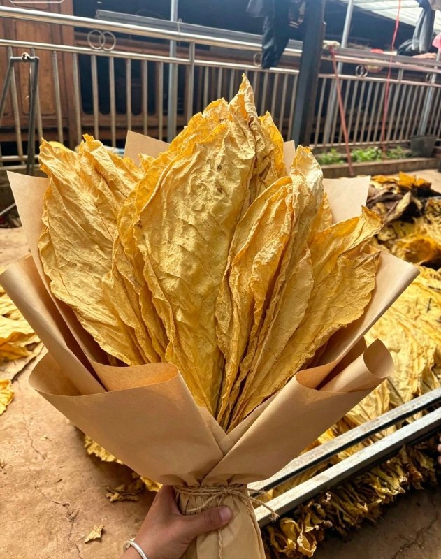 不送鲜花，送你烟花#烤烟￼￼