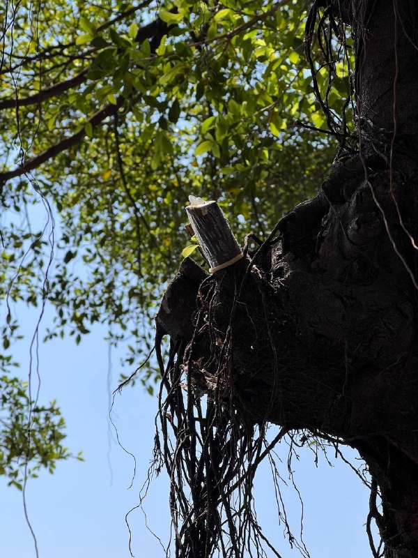 我只是想欣赏美景而已