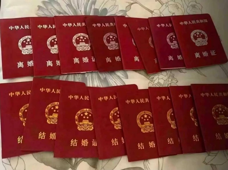 《八离世家》