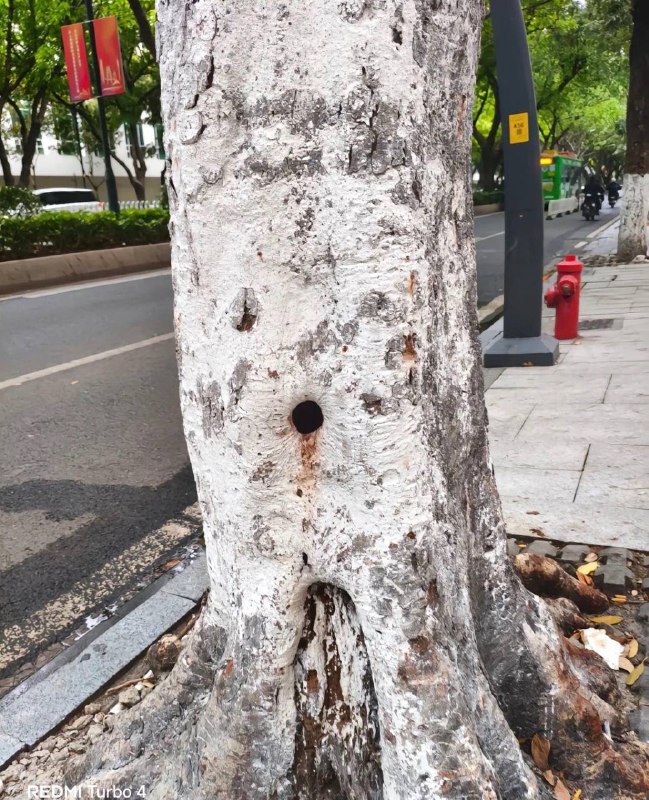 可以做