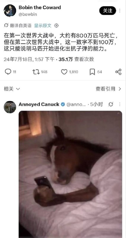 现在的马甚至已经能扛导弹了