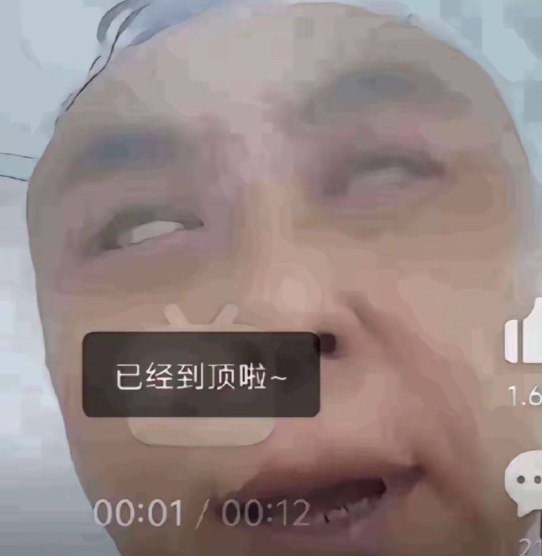 鹰酱