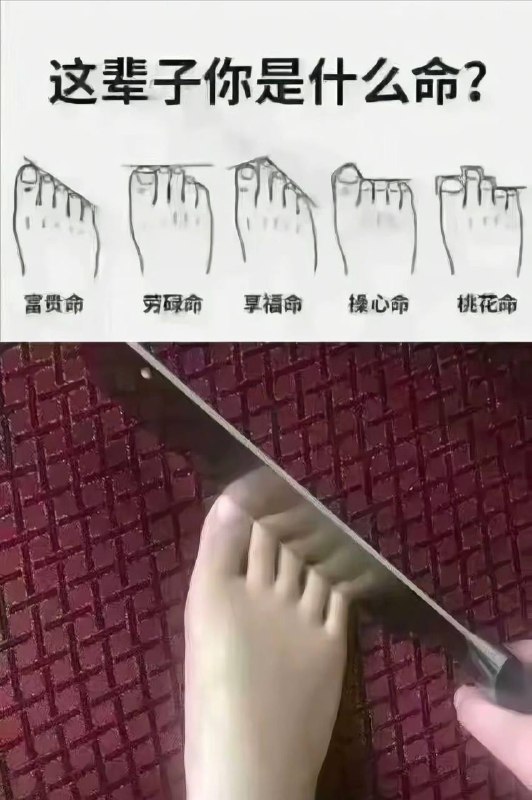 我命由我不由天