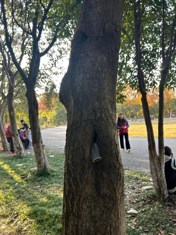 注意 这是学校