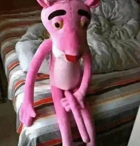 粉红豹