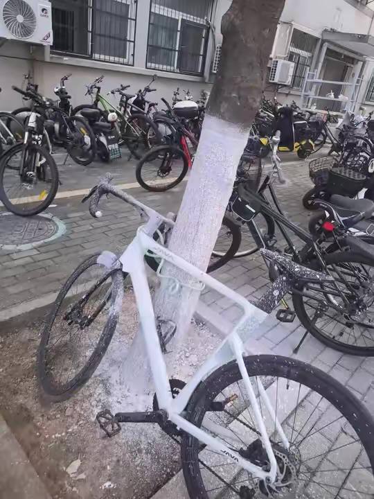 限定涂装