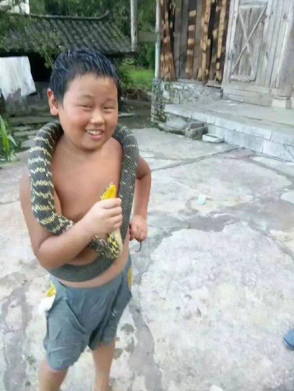 当地葱姜蒜
