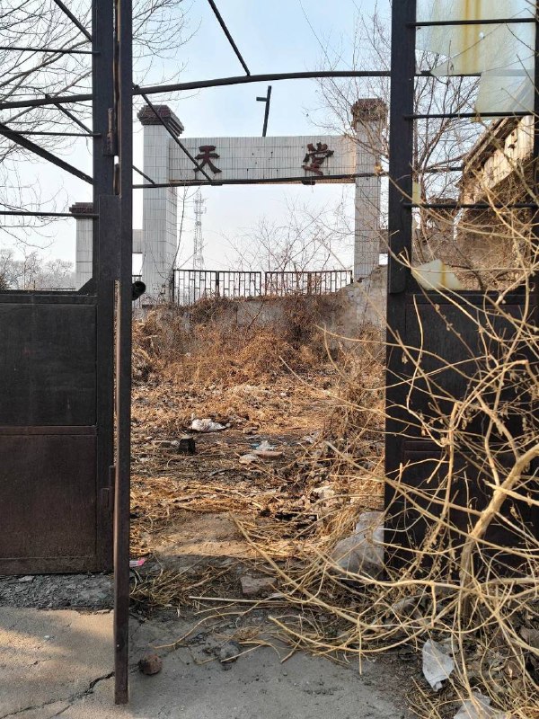 发布了内容￼￼