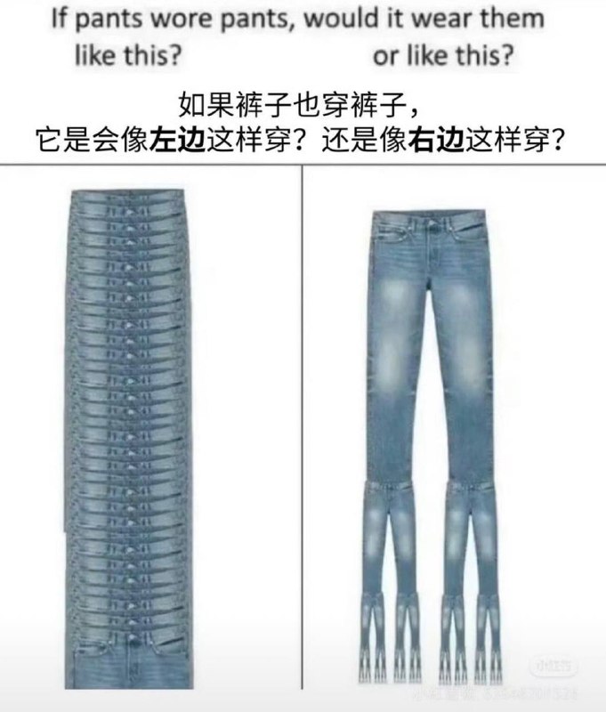 which one#meme #梗图