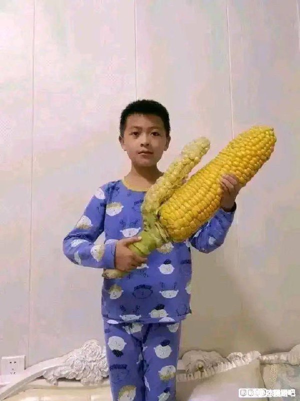 整这出