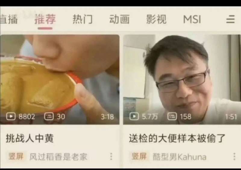 小馋猫还知道去医院偷