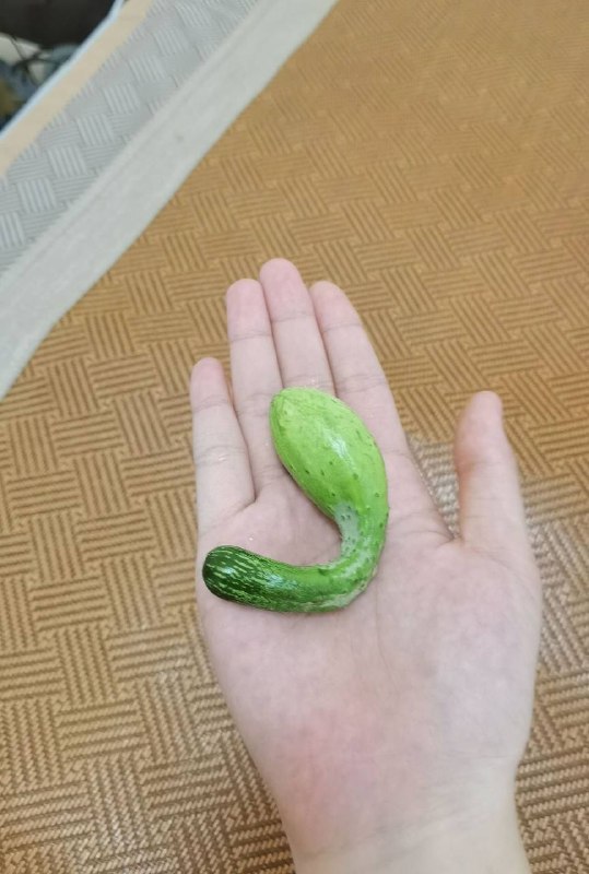 #小黄瓜￼￼#小黄瓜￼￼