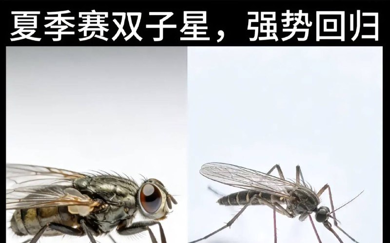 准备复苏