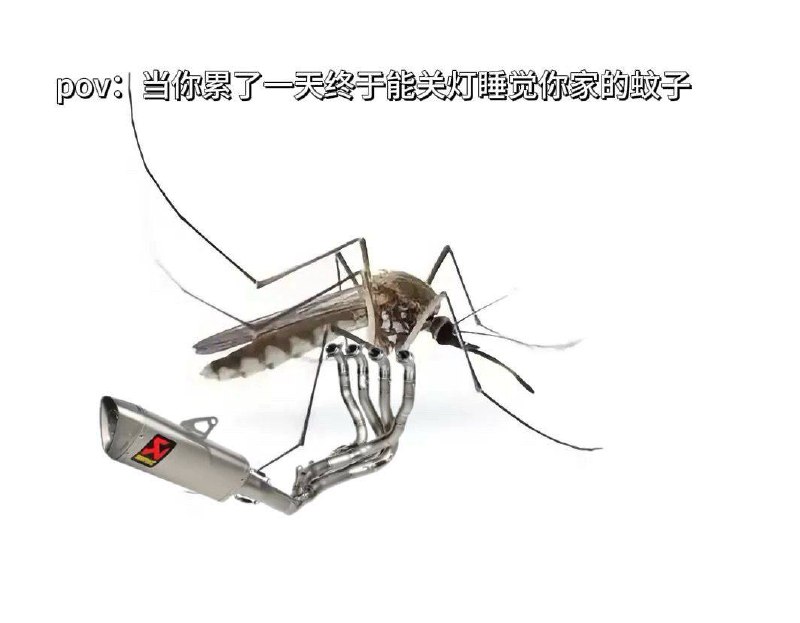 没那么安静