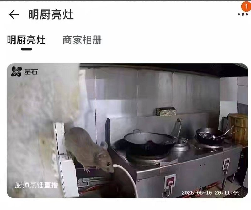 有没有可能这个是主厨