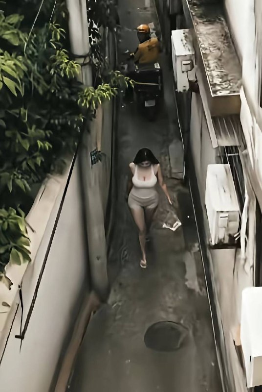 不选择逃跑反而主动接近我吗不选择逃跑反而主动接近我吗