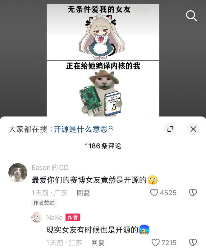 赛博女友