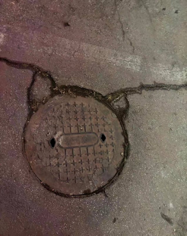 小猪哼哼