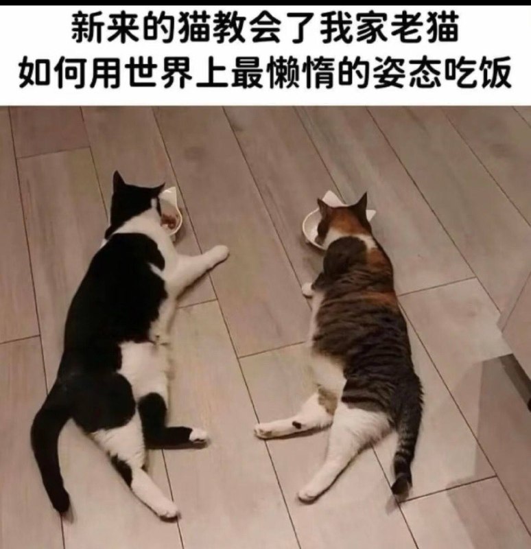 学坏一出溜