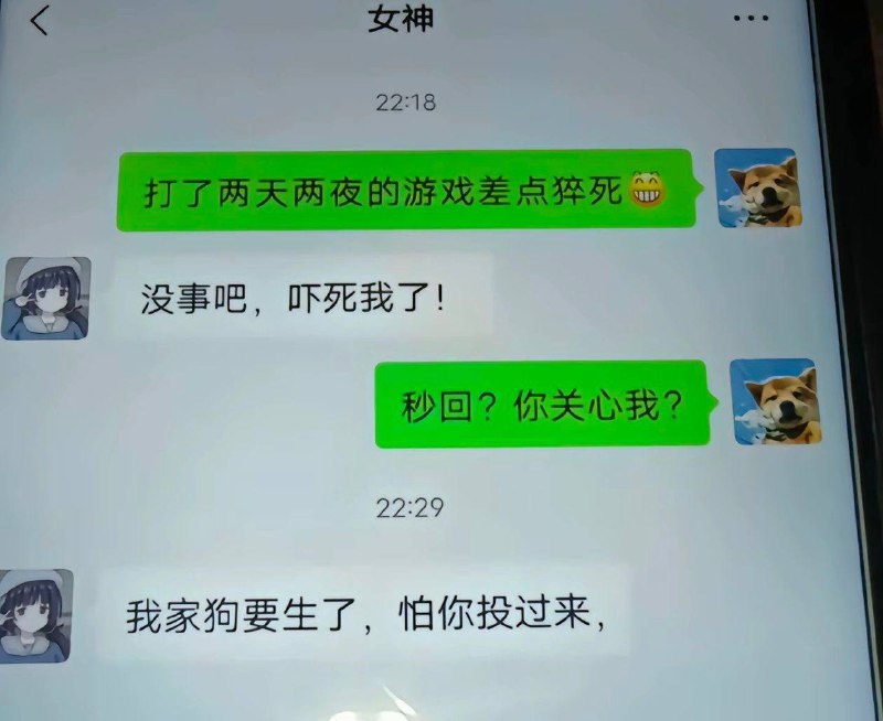 #聊天记录