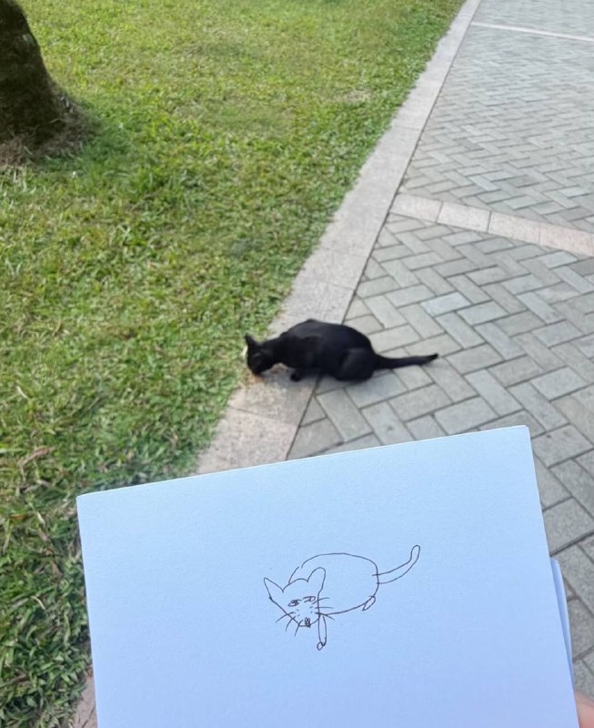 梵低梵低