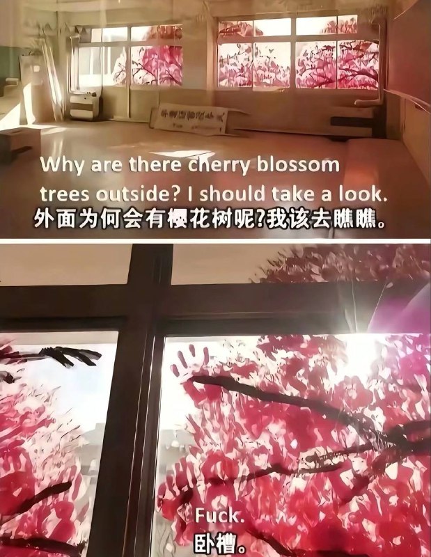 学院孤岛