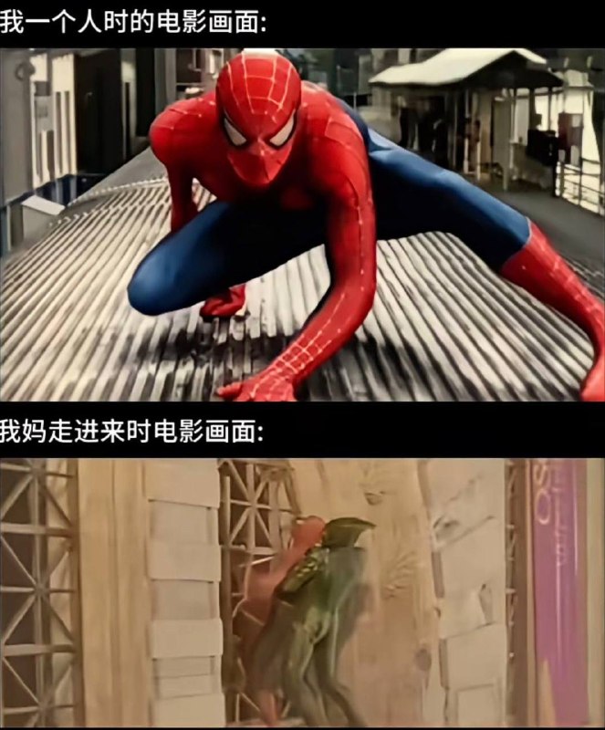 《墨菲定律》