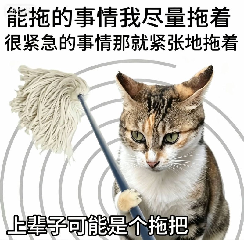 没人知道我每天顶着多大压力玩手机