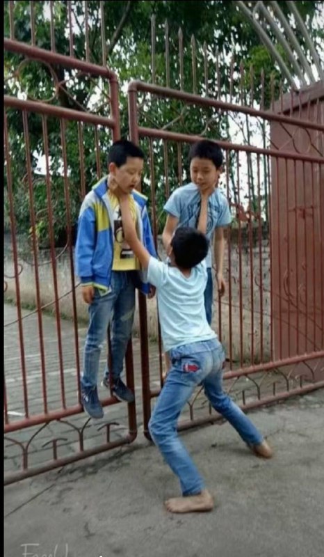 飞起来