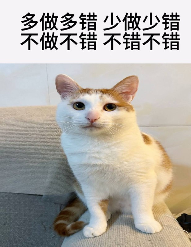 本人生存指南#抽象 #搞笑 #猫咪