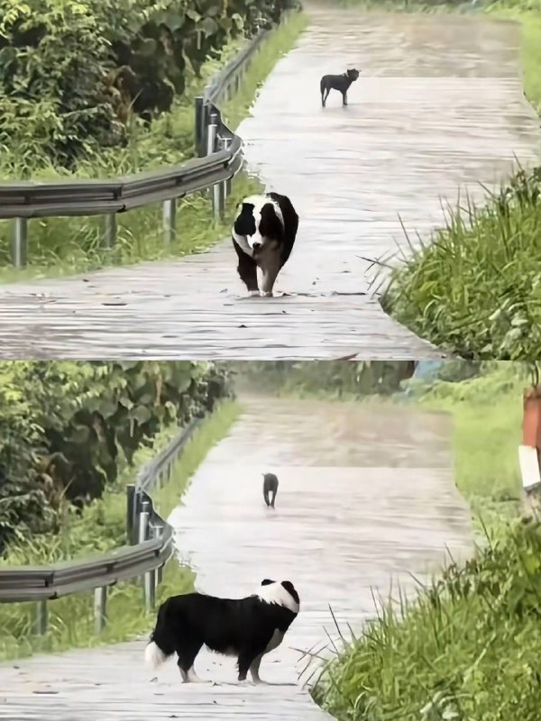 痛都有时差