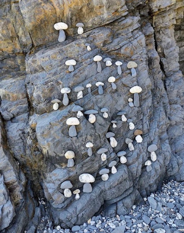 “满山的蘑菇🍄”￼￼“满山的蘑菇🍄”￼￼