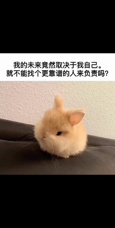 萌之