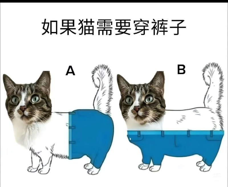 选a还是b