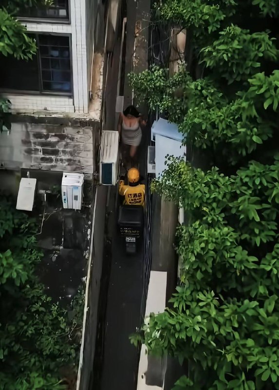 不选择逃跑反而主动接近我吗不选择逃跑反而主动接近我吗