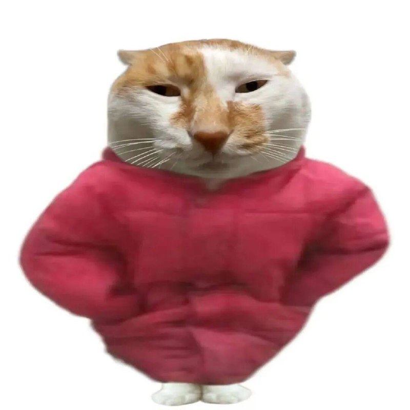 猫 #cos猫 #cos