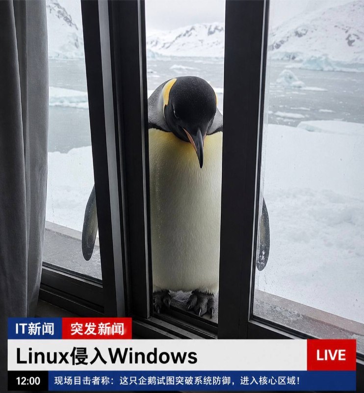 Linux侵入了Windows