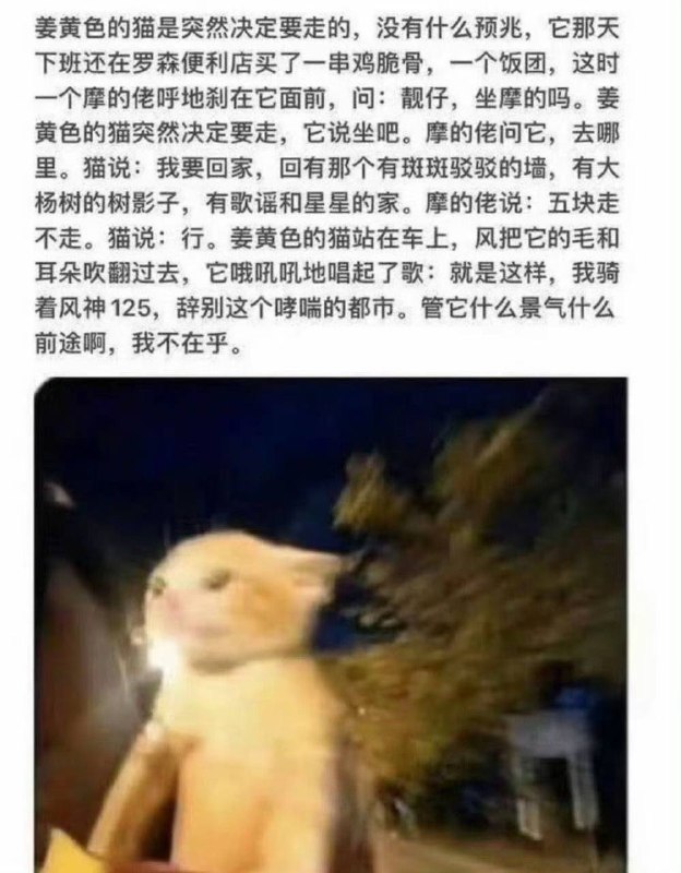 我不在乎￼￼