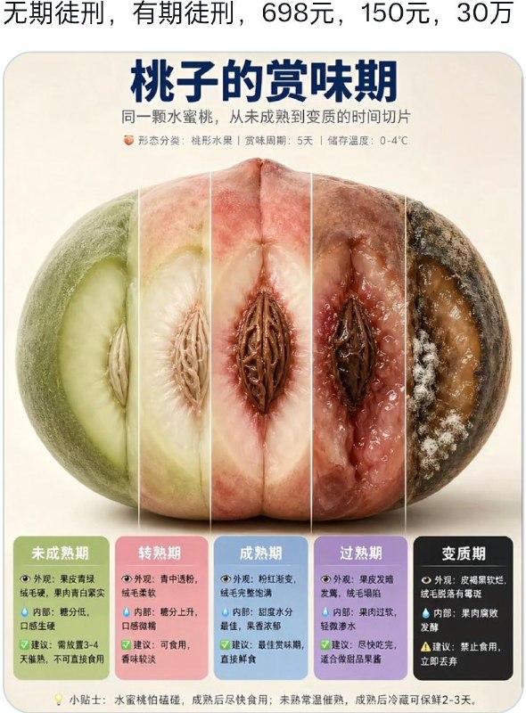 不止说的是桃子
